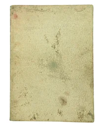 Codex sur le vol des oiseaux, page de garde I